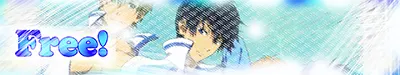 Alle Dōjinshis der Serie »Free!«