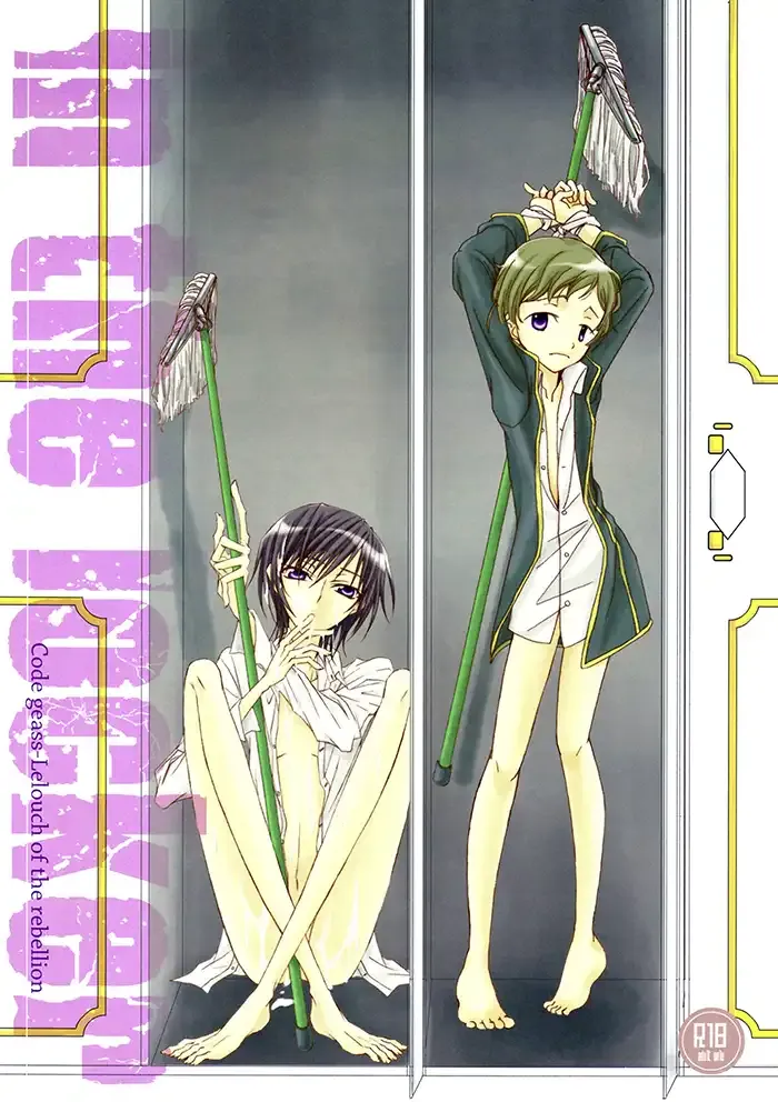 Code Geass Yaoi Doujinshi