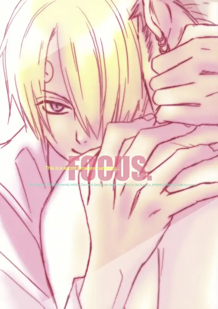 One piece Boys Love Doujinshi