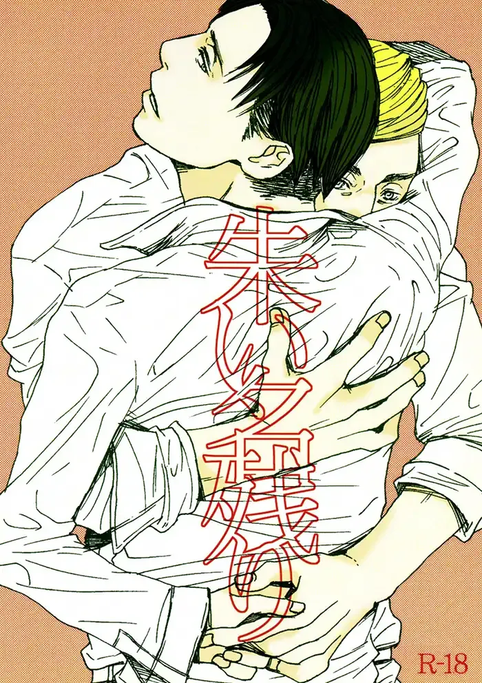 Attack on Titan Boys Love Doujinshi