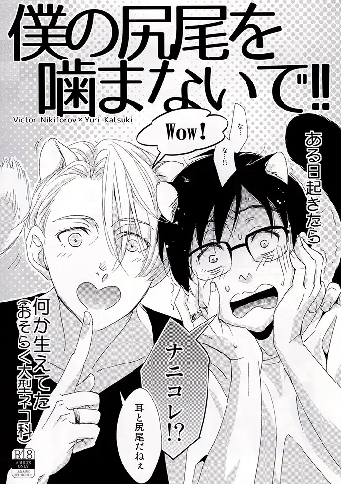 Yuri on ice Yaoi Doujinshi