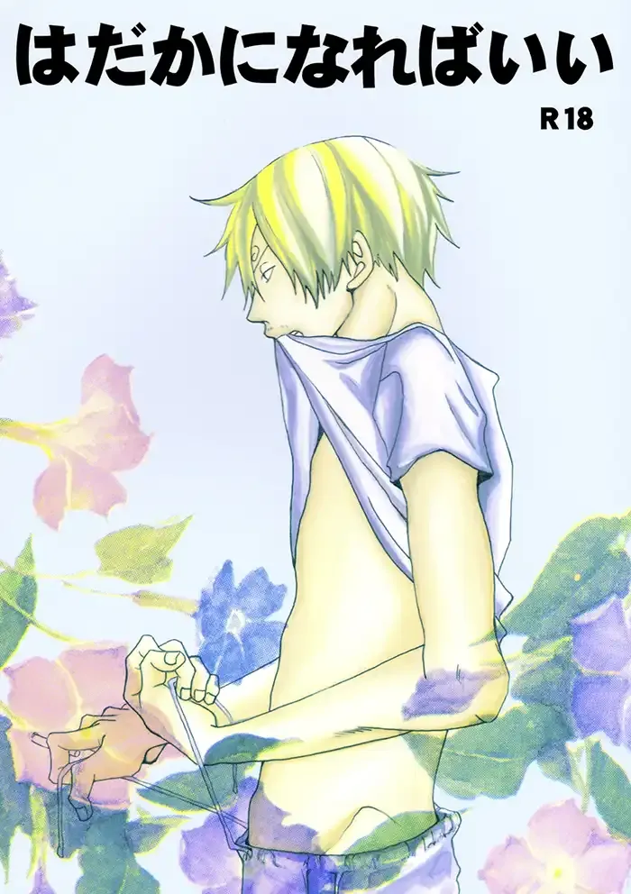 One piece Yaoi Doujinshi