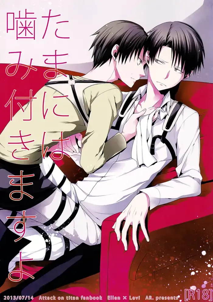 Attack on Titan Yaoi Doujinshi