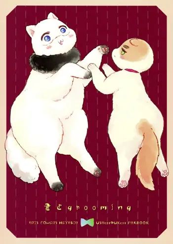 Hetalia axis powers Shōjō Doujinshi