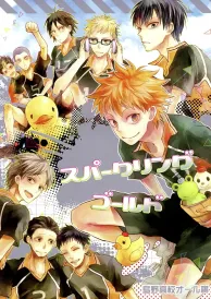 Haikyū Boys Love Doujinshi
