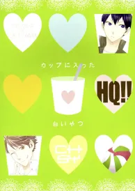 Haikyū Boys Love Doujinshi